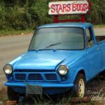 Star bugs cafe review - star bugs cafe chiang mai - in the middle of abundant nature