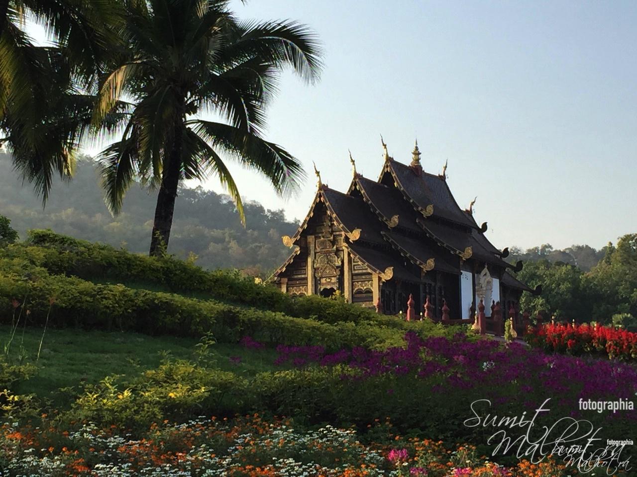 The Royal Flora Garden - Chiang Mai Day 3