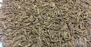Health Benefits of Cumin Seeds or Jeera 2 Cumin Seeds or Jeera - Health Benefits of Cumin Seeds, Jeera Water, Cumin Water
