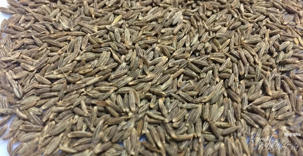 All About Cumin Seeds Know Your Delicious Spice Jeera