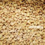 All about fenugreek & fenugreek seeds | know your spice methi (trigonella foenum-graecum) Fenugreek seeds or methi dana