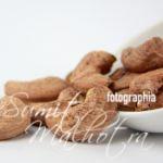Cashew Nuts - Dried