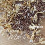 Unhulled Mustard Seeds, Sarson Seeds or Rai