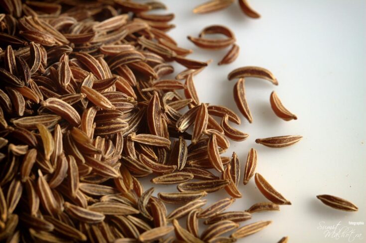 All about caraway seeds know your spice caraway carum carvi
