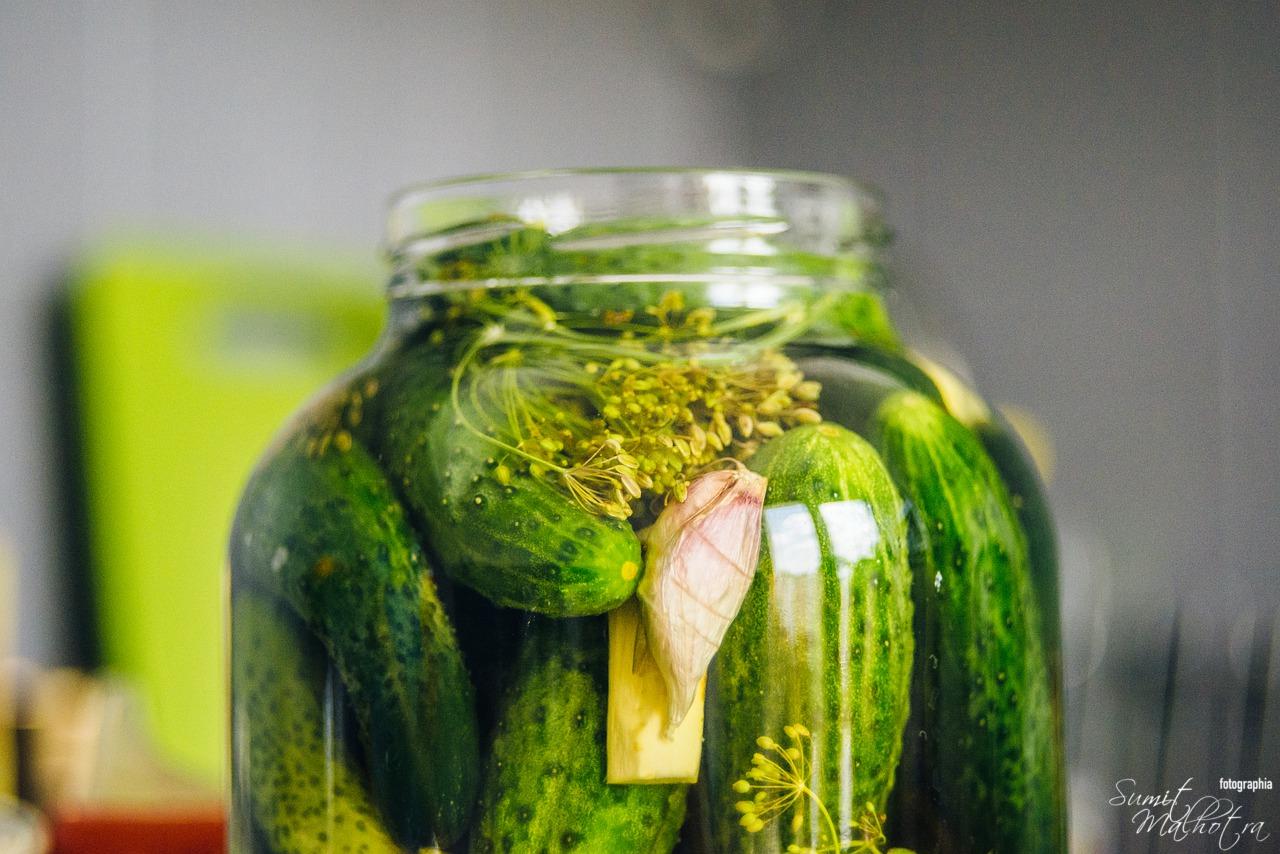 Pickled cucumbers in quick pickle brine