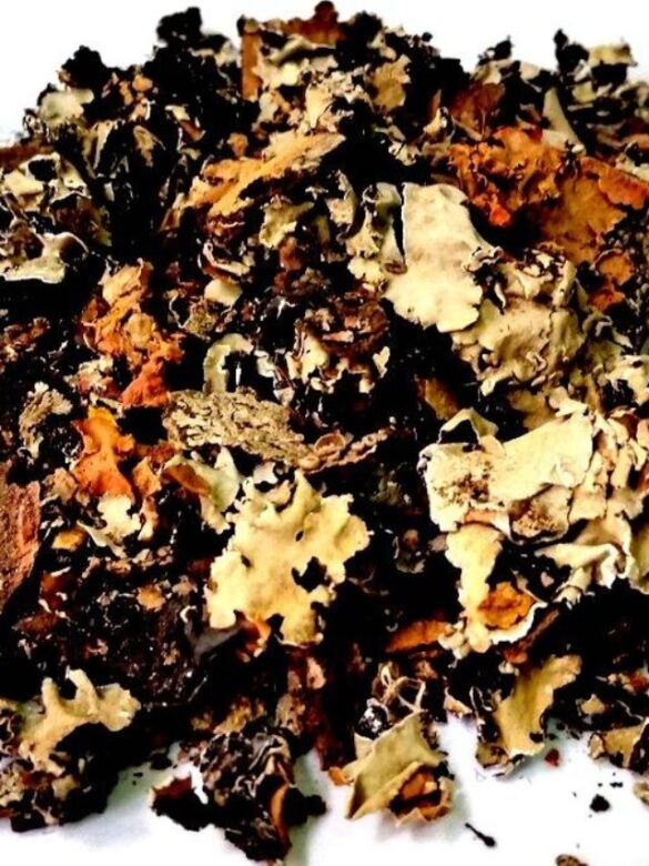 All about dagar phool | know your spice stone flower or kalpasi (parmotrema perlatum)