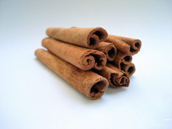 All about cassia or chinese cinnamon | know your spice jangli dalchini (cinnamomum cassia). Jpg