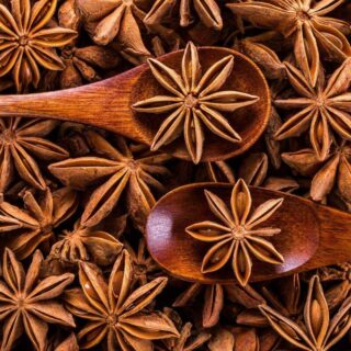 All about star anise | know your spice star anise or chakra phool (illicium verum)