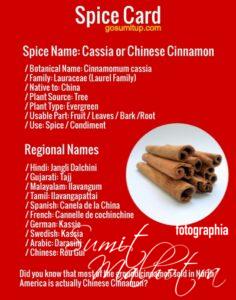 Spice card - all about cassia | know your spice jangli dalchini (cinnamomum cassia)