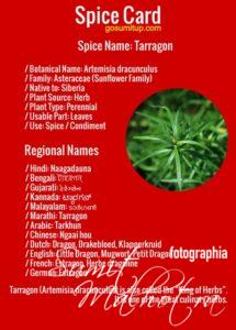 Spice card - all about tarragon | know your spice naagadauna (artemisia dracunculus)