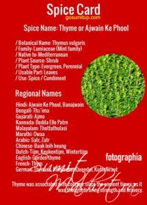 Spice Card - All About Thyme | Know Your Spice Ajwain Ke Phool (Thymus vulgaris)