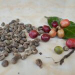 Coffee cherry to coffee beans