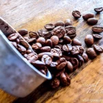 All about coffea arabica, coffee arabica, arabian coffee, arabica coffee