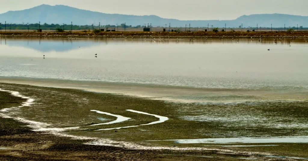 Sambhar Lake, Rajasthan