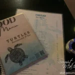 Turtles restaurant & bar, morjim: best sunset views & coastal fusion menu Turtles restaurant & bar morjim - menu (seafood restaurants morjim)