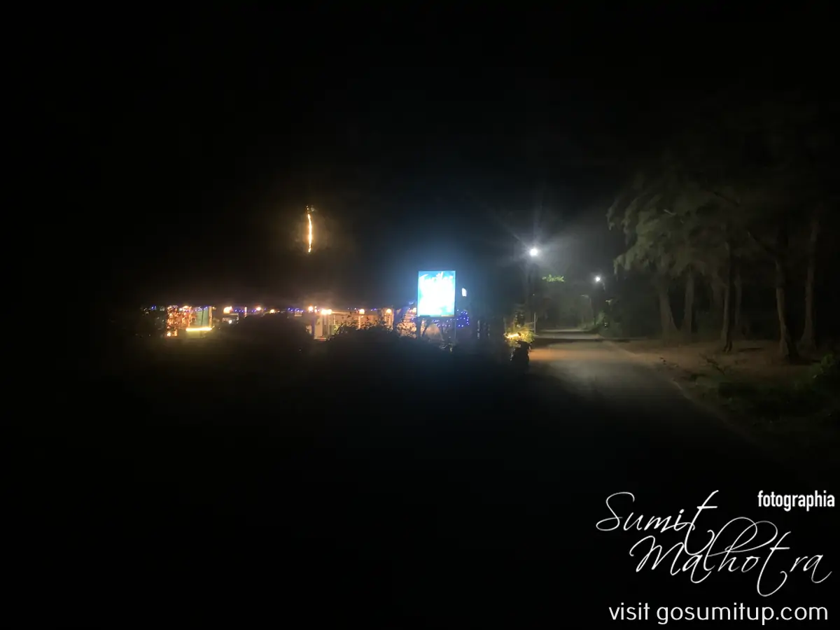 Turtles restaurant & bar morjim Turtles restaurant & bar morjim