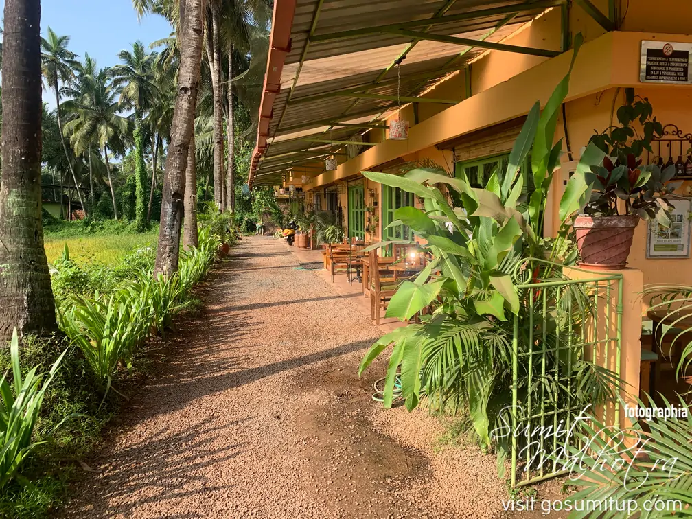 Side walkway of baba au rhum morjim