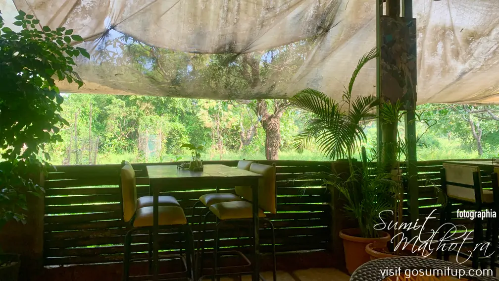 The green view - beyond dosa morjim The green view - beyond dosa morjim