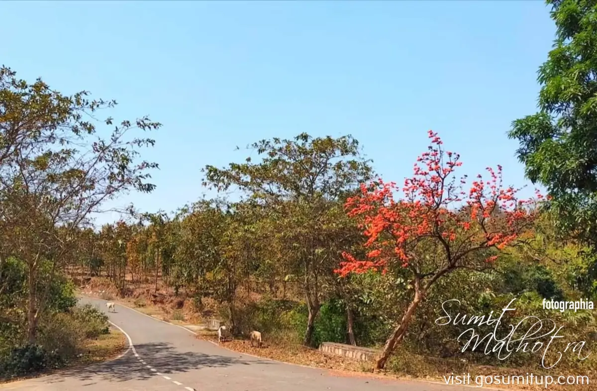 The road to ursi falls giridih