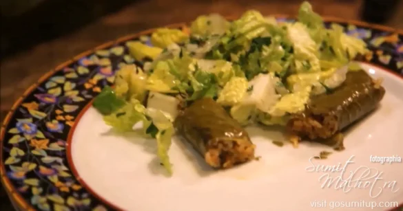 Dolma or tolma served with salad