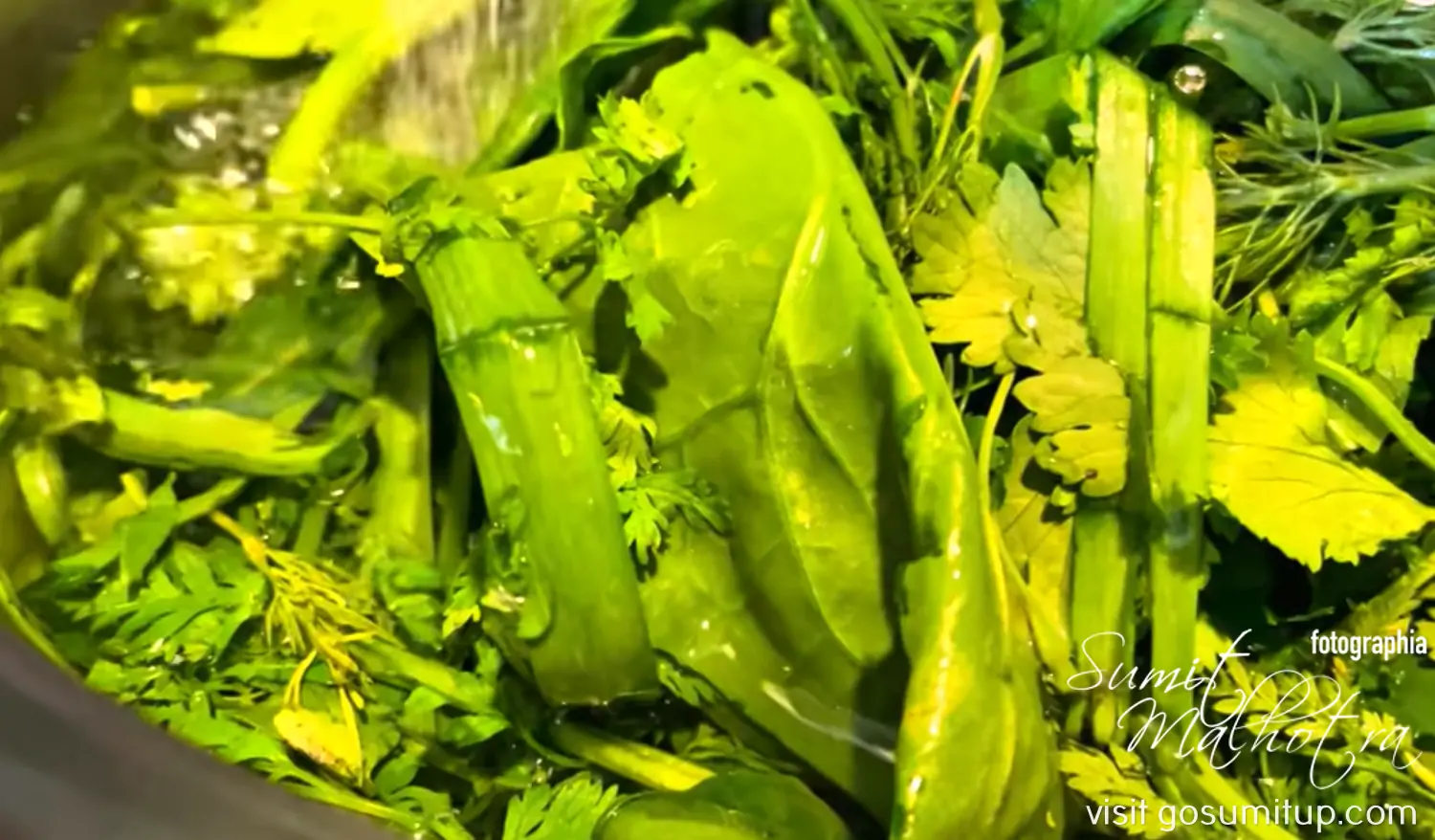 A mix of spinach, chard, dill, parsley, mint & cilantro for the azerbaijani dovga