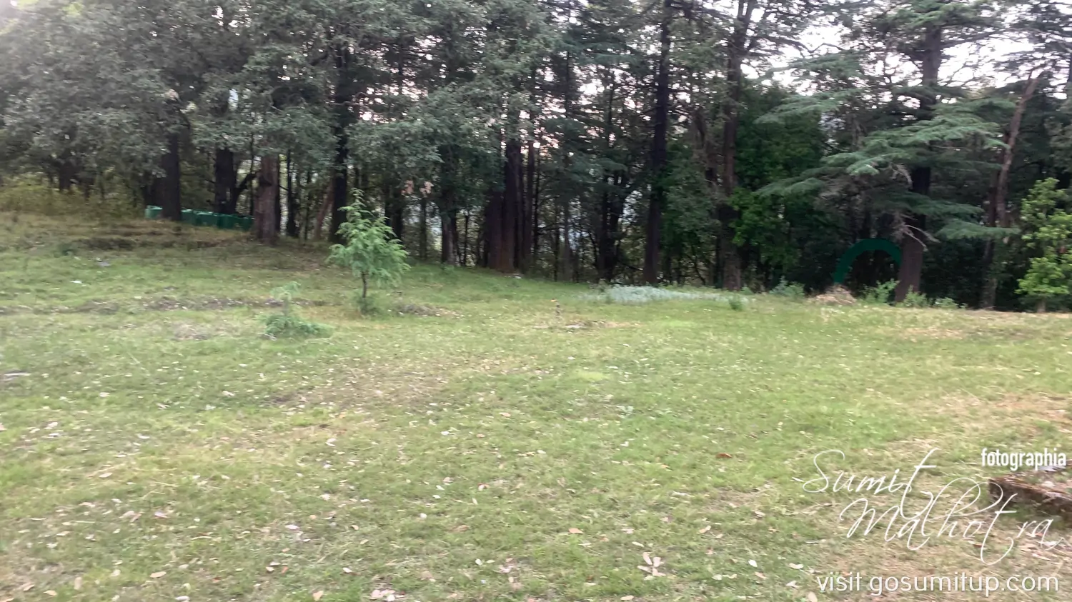 Meadows at the main maheshkhan forest rest house