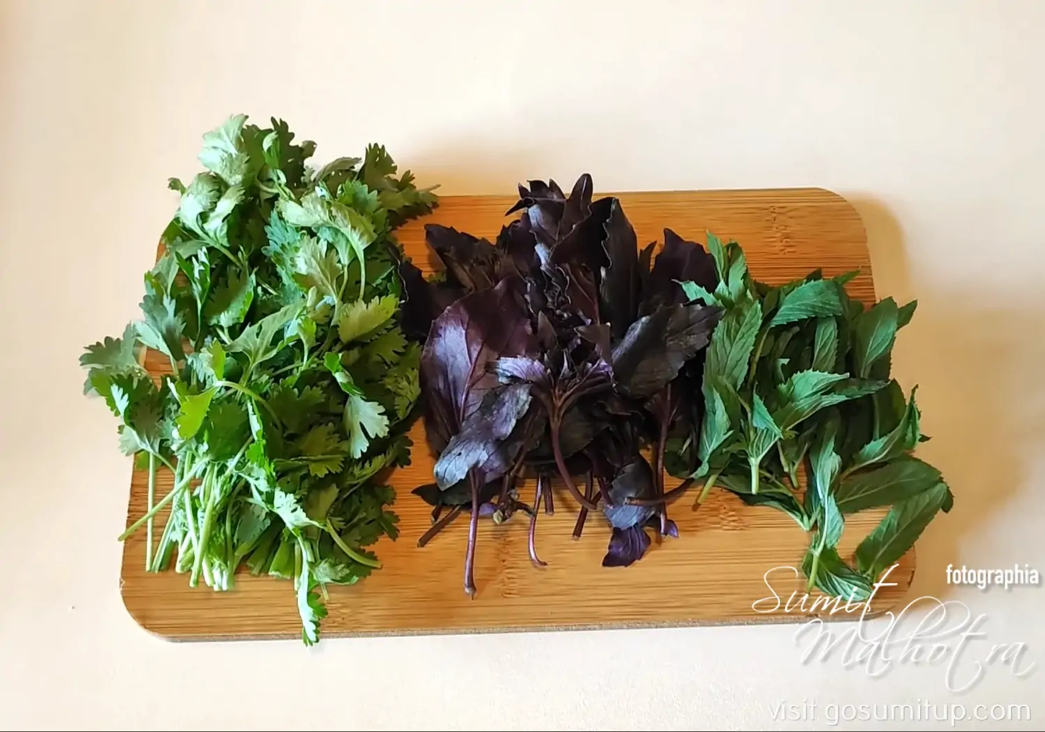 Herbs for the meat filing Herbs for the meat filing