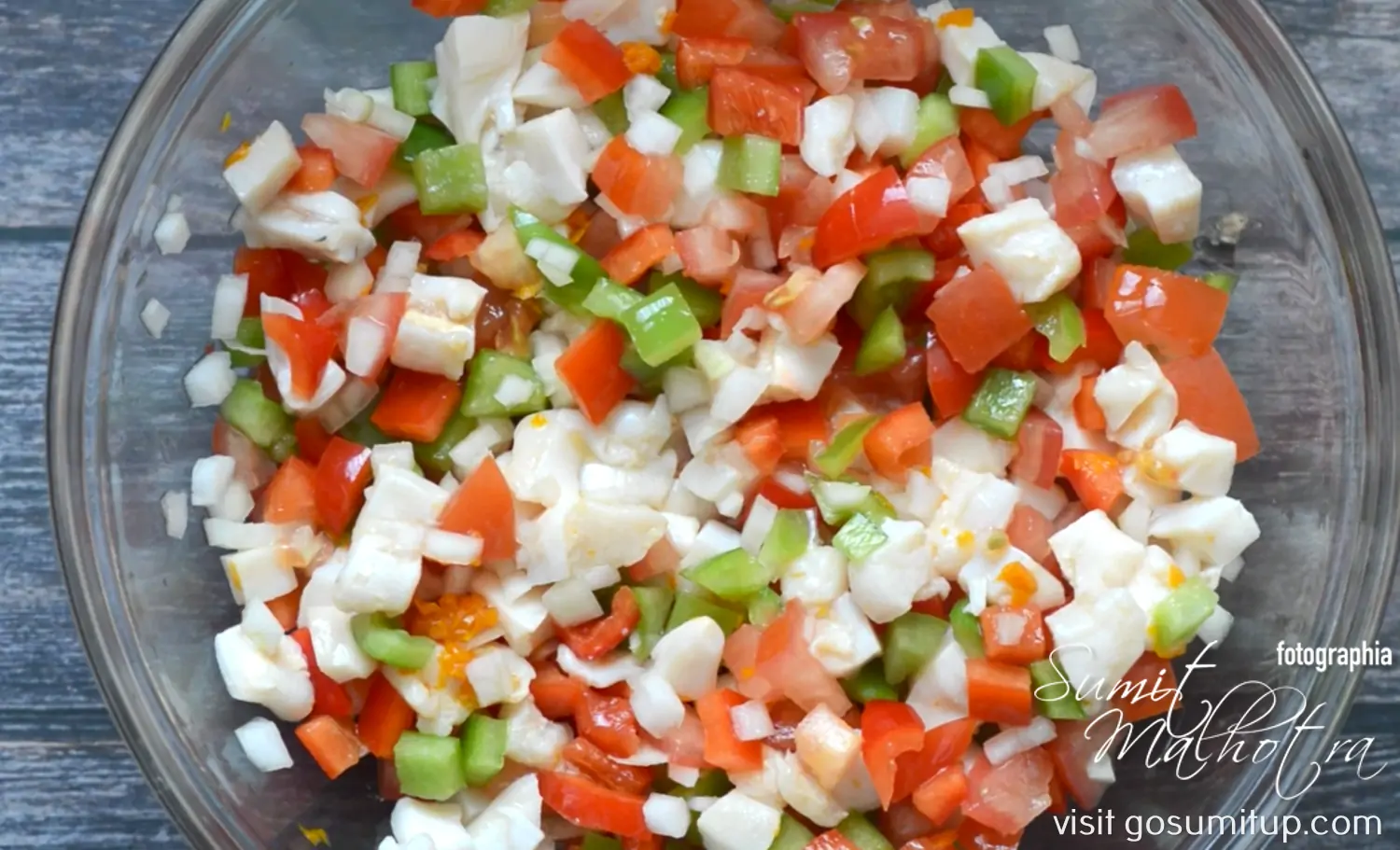 Bahamian conch salad